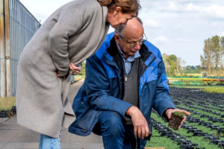 Van de taxi naar de plantenkwekerij