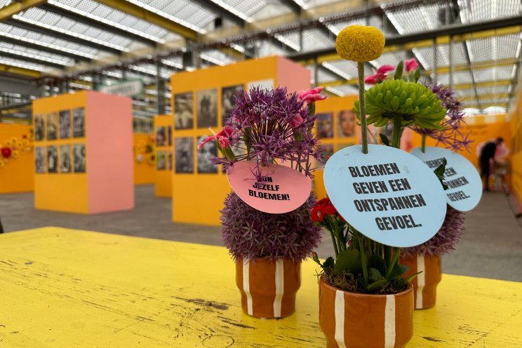 Libelle en Margriet vieren feest met bloemen