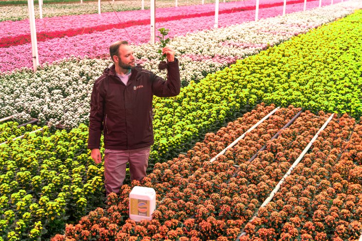 Horticoop investeert in bodemverbeteraar REKA