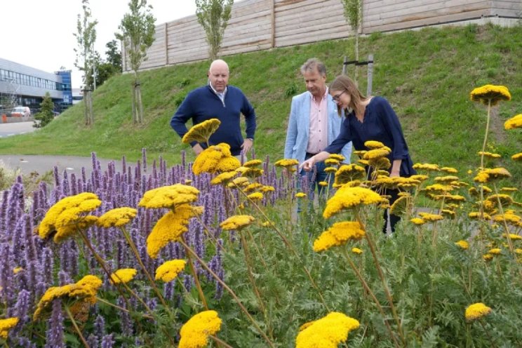 Belang van biodiversiteit