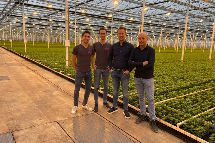 Van Helvoort Company neemt kwekerij over