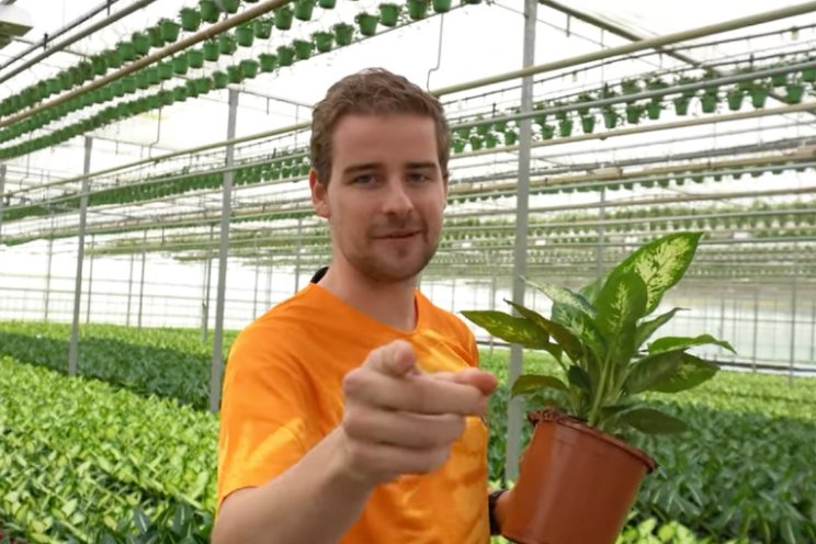 Koning Tuinbouw ook zonder Oranje verder