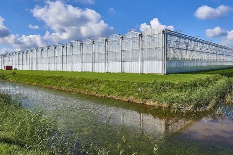 Onverwachte middelen in water onderzocht