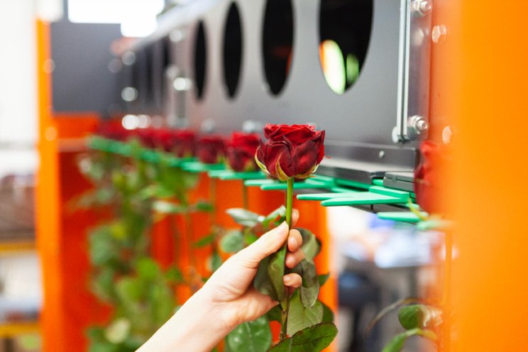 Bercomex op IFTF met vernieuwde Rosematic