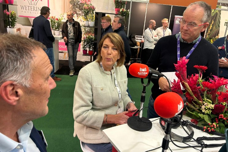 Gesprek op de Trade Fair... Waarde zomerbloemen