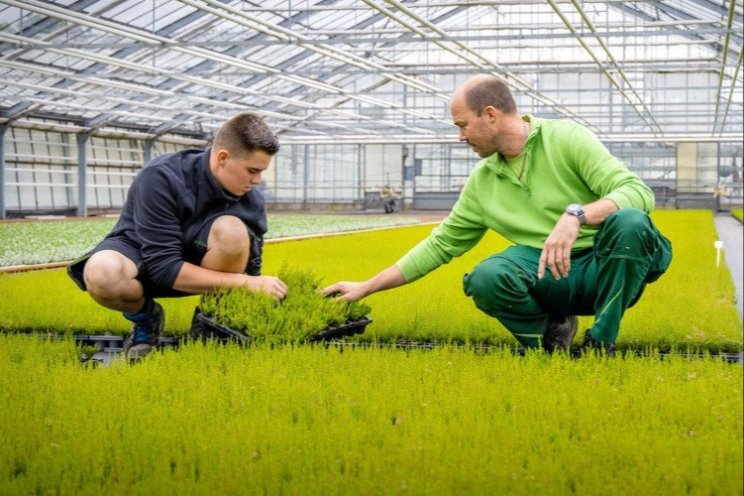 Alle plantenklokken gaan over op Centraal Veilen 