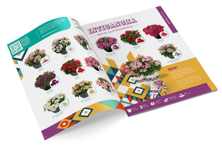 Catalogus HilverdaFlorist voor Pot, Patio & Garden