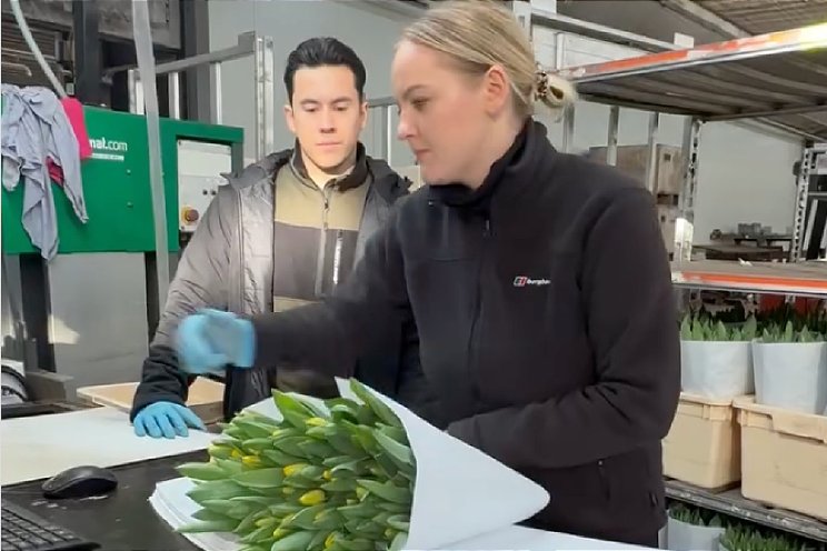 Holex Flower op bezoek bij Borst Bloembollen