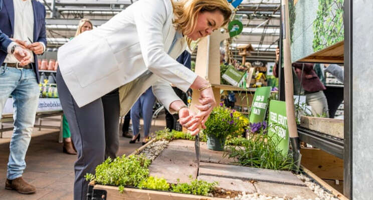 'Iedereen kan een plantje bijdragen'