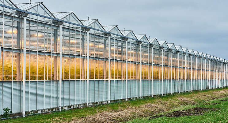 Eigen Greenport noordelijke tuinbouw