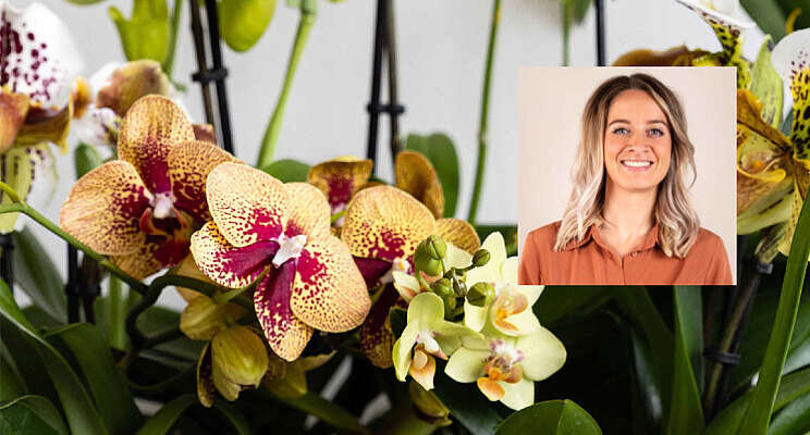 Orchidee Nederland wil verrassen op Floriade