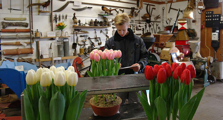 Schrijffouten maken verschil bij tweede Tulpenkeuring