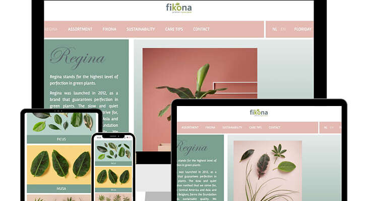 Fikona presenteert nieuwe visuele identiteit