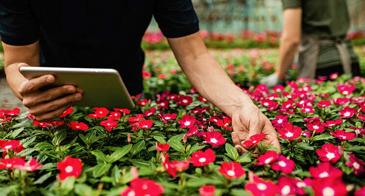 Digitale versnelling tuinbouwcluster