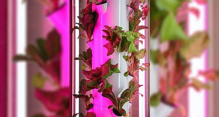 Vertical Farming Wednesday... vertical farming winstgevend?