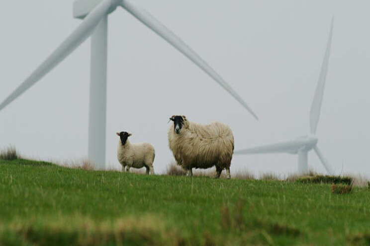 Beperkte zon- en windproductie