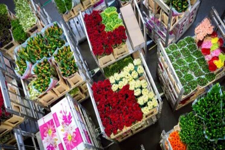 VGB stopt het overleg met Royal FloraHolland