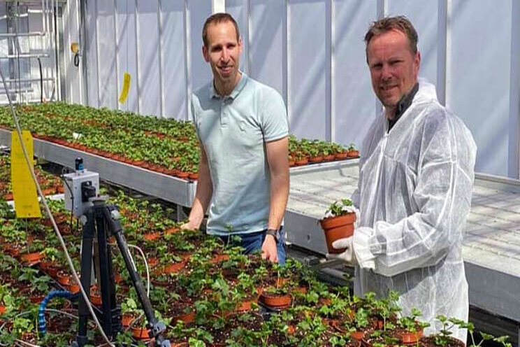 PARperfect succesvol in plantenproef bij Delphy