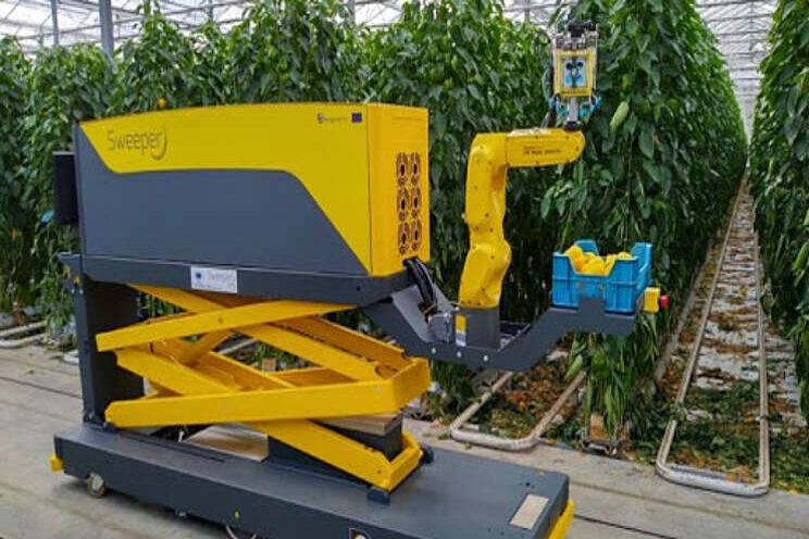 RoboCrops wil robotica in tuinbouw versnellen