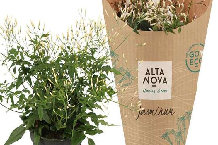 AltaNova lanceert GO ECO