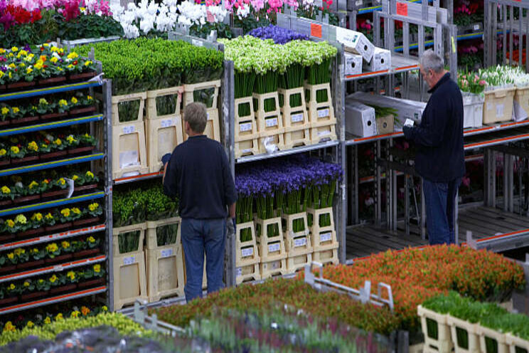 Maffiabroers FloraHolland toch veroordeeld