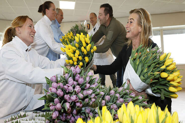 Voedselbranche helpt tulpenkwekers