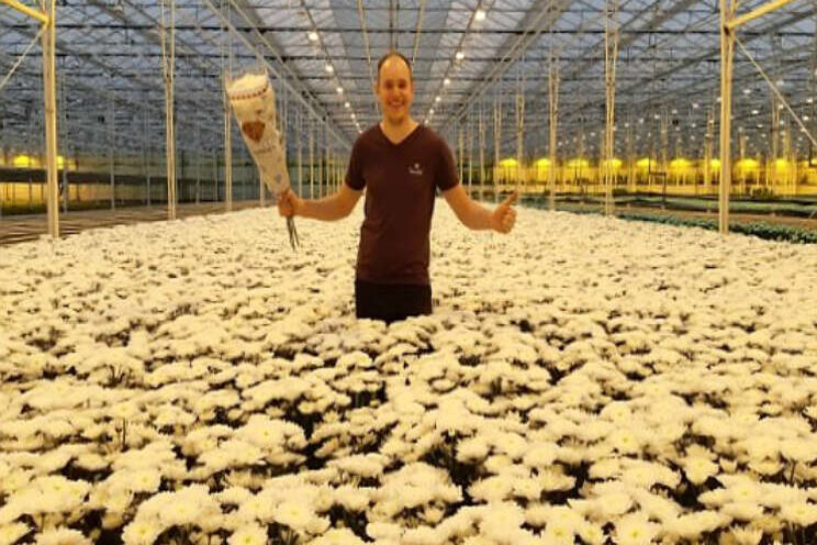 Altaj: nieuwe witte deco met een unieke bloemvorm