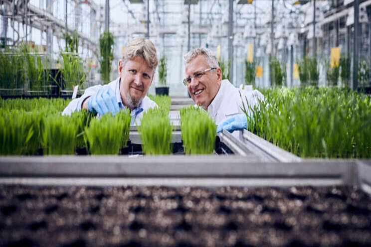 BASF gelooft in innovatie