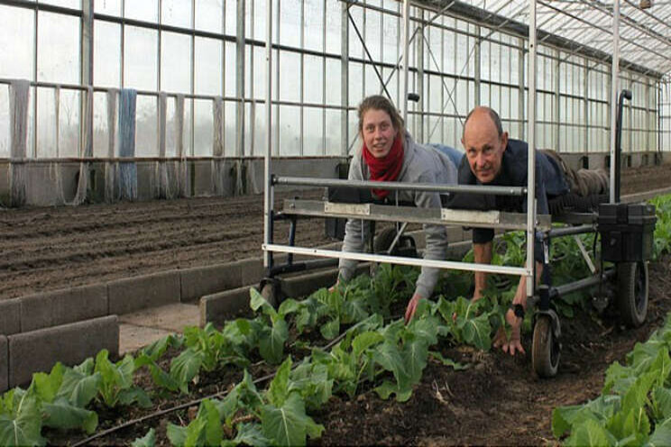 Rolstoel wordt wiedbed