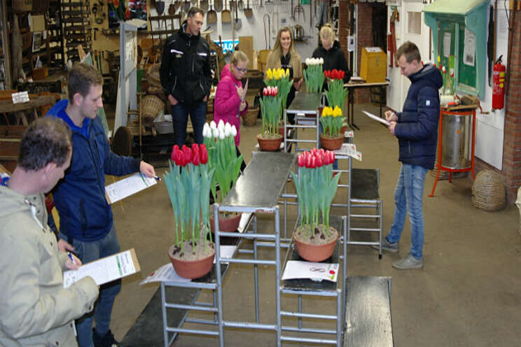 Tulpenkeurders komen direct in de juiste flow